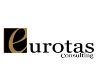 Consultancy Website logo 